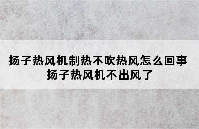 扬子热风机制热不吹热风怎么回事 扬子热风机不出风了